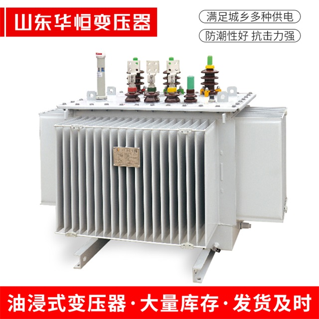 S13-10000/35平房平房平房电力变压器